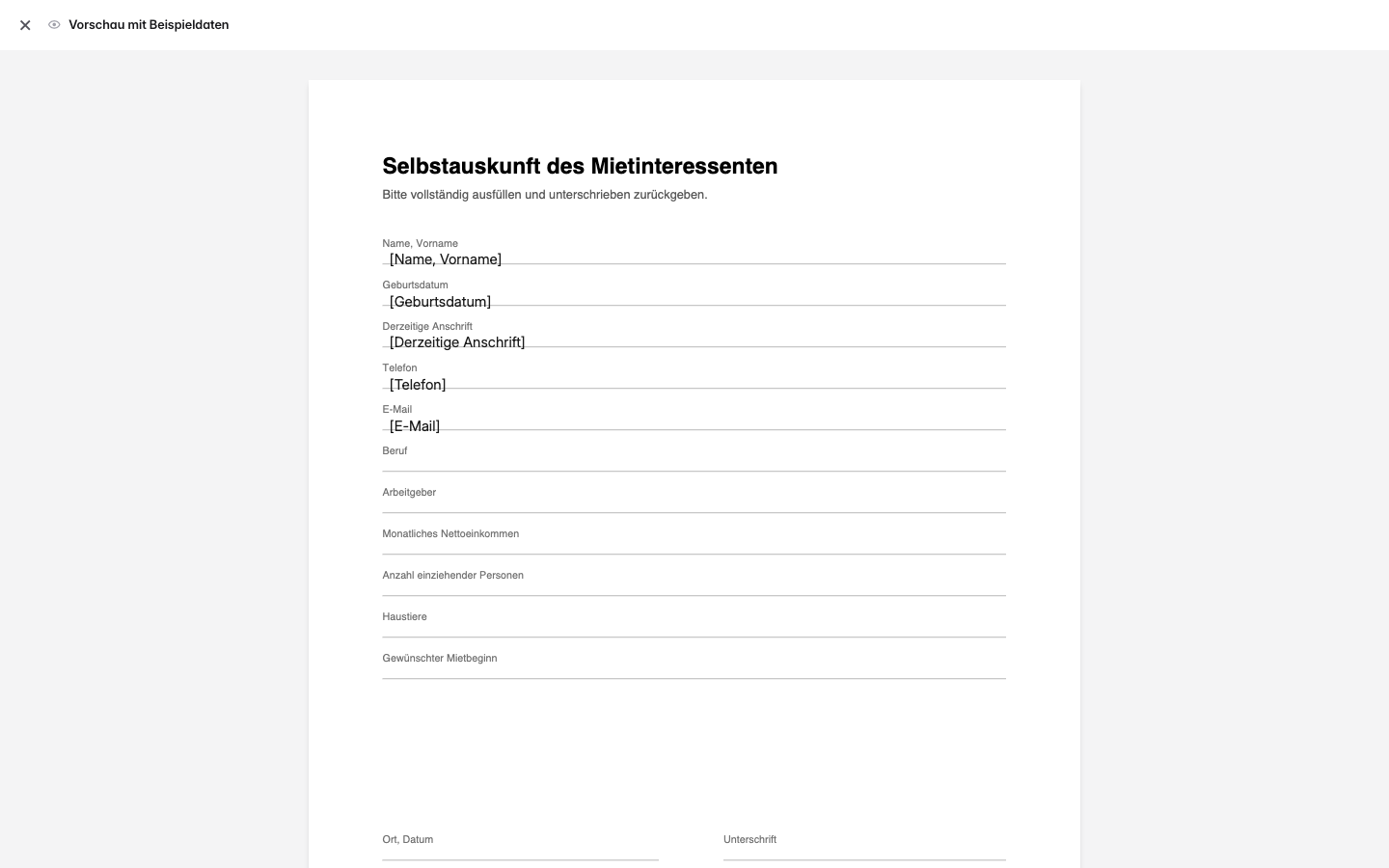 Das fertige PDF: der Vordruck mit den eingesetzten Werten